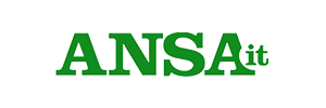 ansa